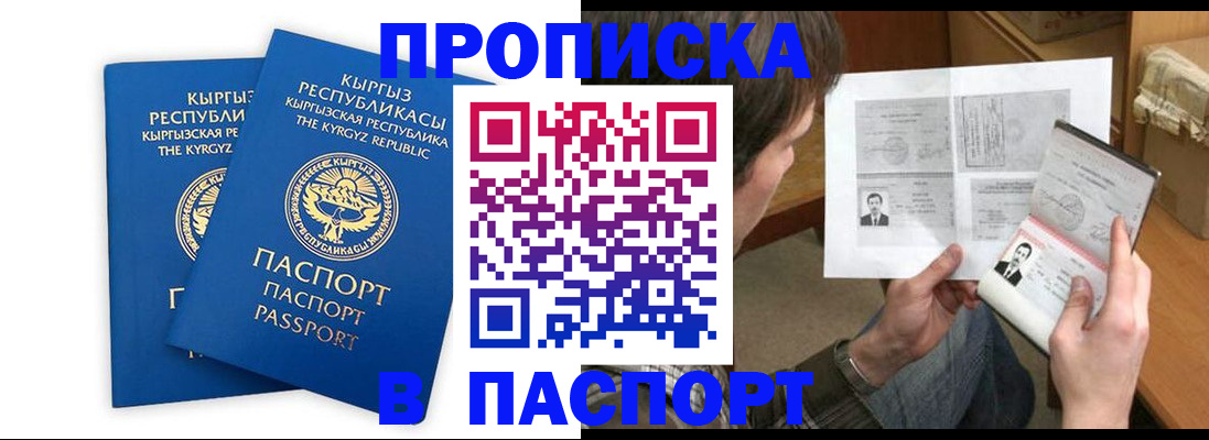 прописка гарантия в Александровске